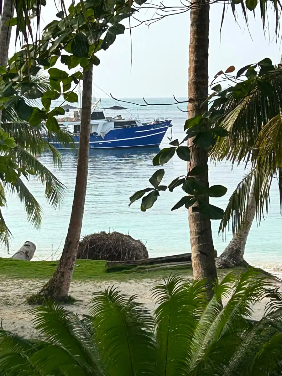 Orca Laut seen through palms on a tropical island